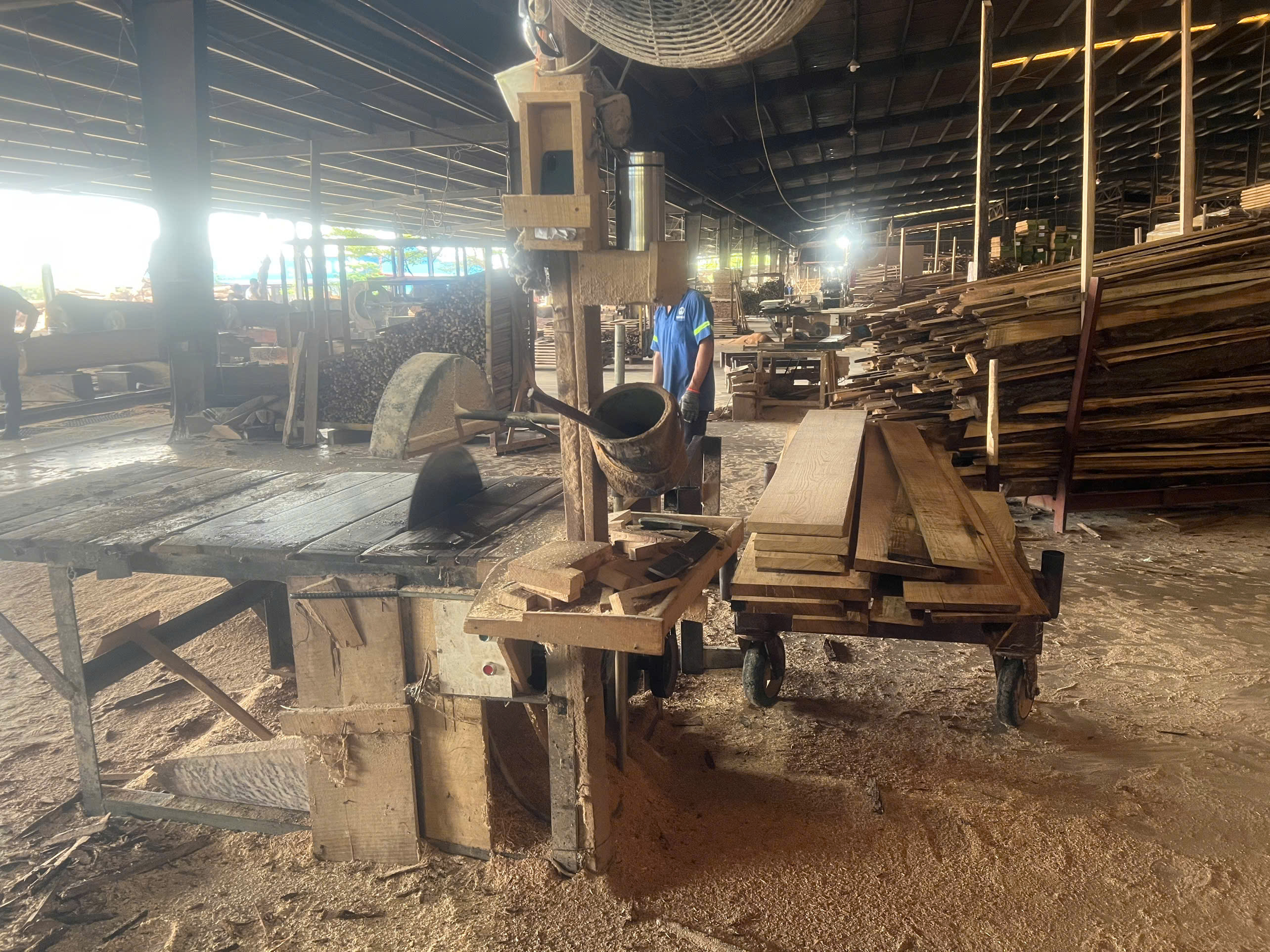 Production Area 17.jpg